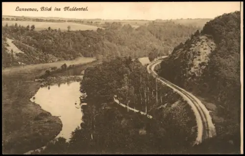 Ansichtskarte Lunzenau Blick ins Muldental 1921