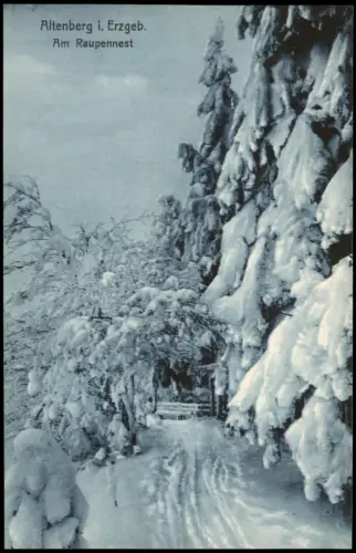 Ansichtskarte Altenberg (Erzgebirge) Am Raupennest Winter 1922