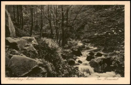 Ansichtskarte Rochsburg-Lunzenau Im Brausetal 1924