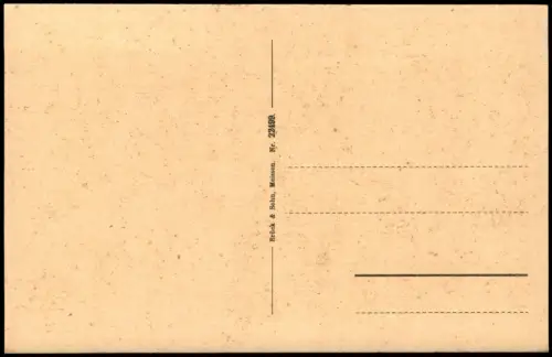 Ansichtskarte Rochsburg-Lunzenau Im Brausetal 1924