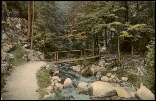 Ansichtskarte Rochsburg-Lunzenau Eingang zum Brauseloch Brück 1924