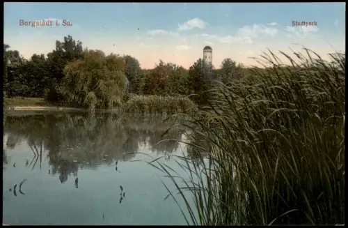 Ansichtskarte Burgstädt Stadtpark Teich Wasserturm 1924