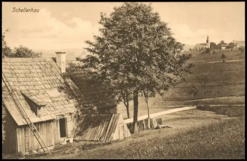Schellerhau-Altenberg (Erzgebirge) Holzhütte Blick zur Stadt 1923