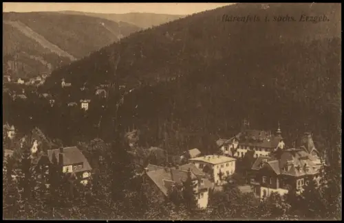 Ansichtskarte Bärenfels (Erzgebirge)-Altenberg (Erzgebirge) Stadtblick 1920