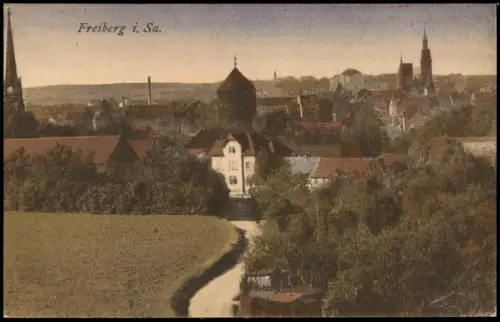 Ansichtskarte Freiberg (Sachsen) Straße zur Stadt 1920
