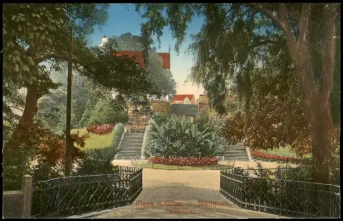 Ansichtskarte Riesa Stadtpark Stauden Freitreppe 1914