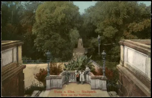 Ansichtskarte Riesa Blick von der Freitreppe - Weg Stadtpark 1914