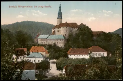 Ansichtskarte Weesenstein (Müglitz) Blick auf die Stadt 1914