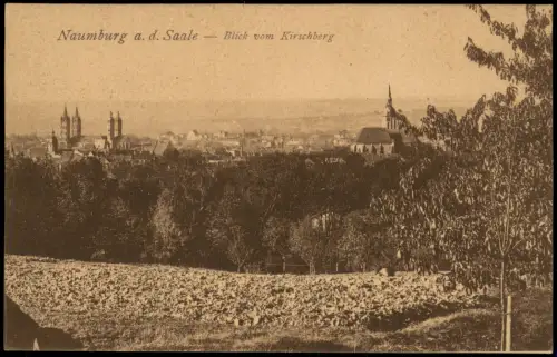 Ansichtskarte Naumburg (Saale) Blick vom Kirschberg 1922