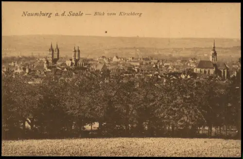 Ansichtskarte Naumburg (Saale) Totale con Kirschberg 1922