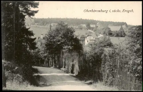 Ansichtskarte Oberbärenburg-Altenberg (Erzgebirge) Weg zur Stadt 1922