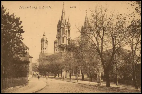 Ansichtskarte Naumburg (Saale) Straßenpartie Dom Litfasssäule 1922