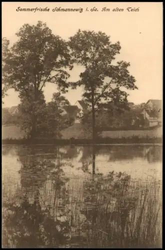 Ansichtskarte Schmannewitz-Dahlen Am alten Teich 1920