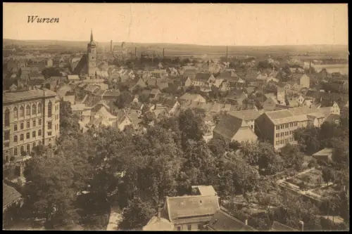 Ansichtskarte Wurzen Blick über die Stadt 1920