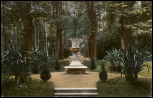 Ansichtskarte Lichtenwalde-Niederwiesa Partie im Park Statue mit Palme 1914