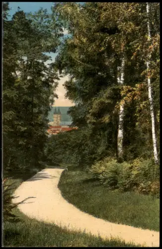 Ansichtskarte Naumburg (Saale) Im Bürgergarten 1914