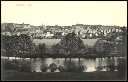 Ansichtskarte Colditz Stadtblick 1914