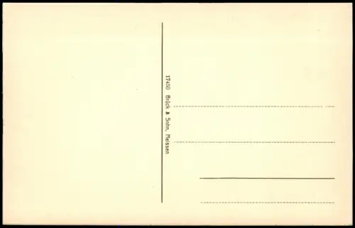 Ansichtskarte Colditz Stadtblick 1914