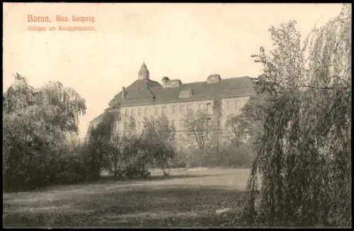 Ansichtskarte Borna Anlagen am Realgymnasium 1918