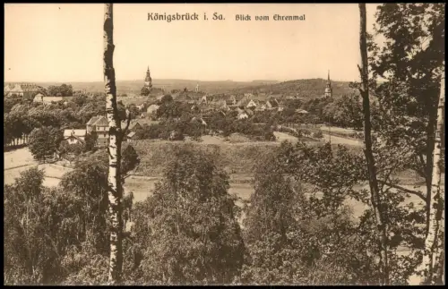 Ansichtskarte Königsbrück Kinspork Blick vom Ehrenmal 1927
