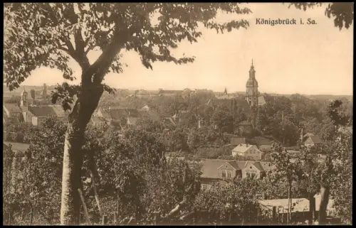 Ansichtskarte Königsbrück Kinspork Stadtblick 1927
