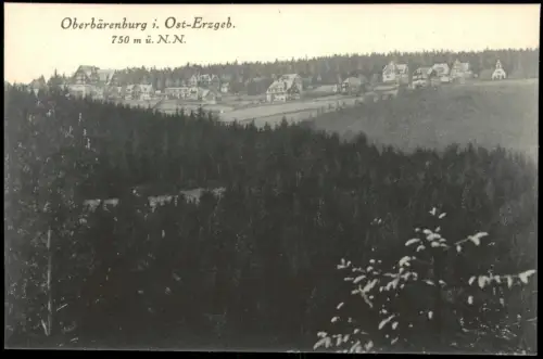 Oberbärenburg-Altenberg (Erzgebirge) Berghotel Friedrichshöhe 1927