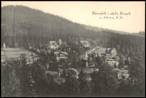 Ansichtskarte Bärenfels (Erzgebirge)-Altenberg (Erzgebirge) Ortspartie 1922