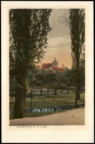 Ansichtskarte Dommitzsch Fernblick auf die Stadt 1926
