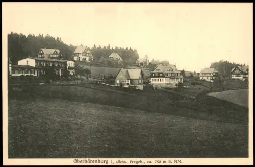 Ansichtskarte Oberbärenburg-Altenberg (Erzgebirge) Häuser am Hang 1927