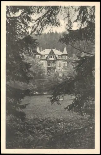 Ansichtskarte Waldbärenburg-Altenberg (Erzgebirge) Haus Bergfried 1927