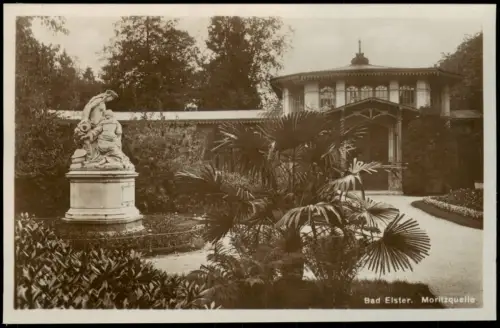 Ansichtskarte Bad Elster Moritzquelle Palme Statue Fotokarte 1925