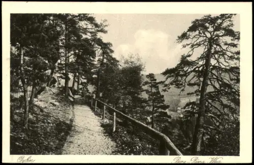 Ansichtskarte Oybin Berg-Ring-Weg 1925