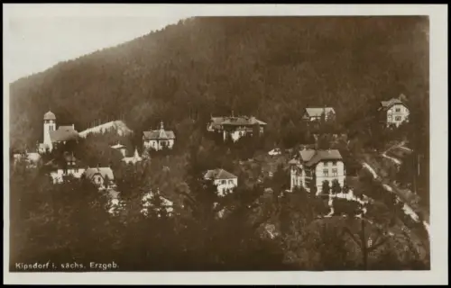 Ansichtskarte Kipsdorf-Altenberg (Erzgebirge) Hangpartie Fotokarte 1926