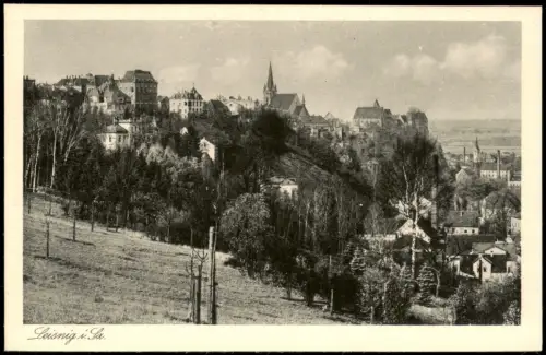 Ansichtskarte Leisnig Partie an der Stadt 1925