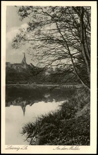 Ansichtskarte Leisnig An der Mulde 1925