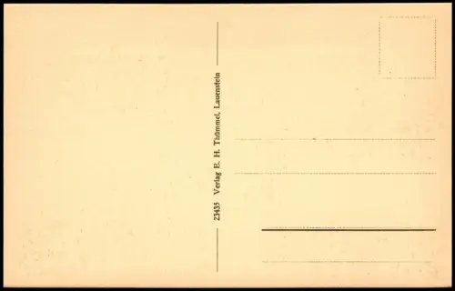 Lauenstein (Erzgebirge)-Altenberg (Erzgebirge) Weg zur Stadt 1923
