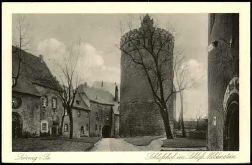 Ansichtskarte Leisnig Schloßhof im Schloss Mildenstein 1925