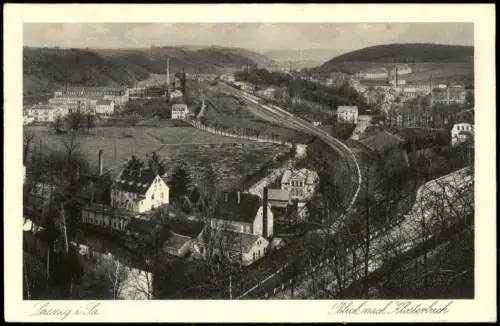 Ansichtskarte Leisnig Blick nach dem Klosterbruch 1925