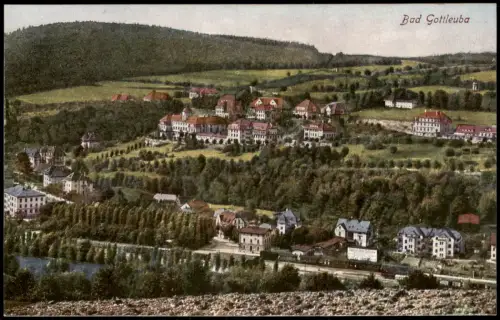 Ansichtskarte Bad Gottleuba-Berggießhübel Blick über die Stadt 1920