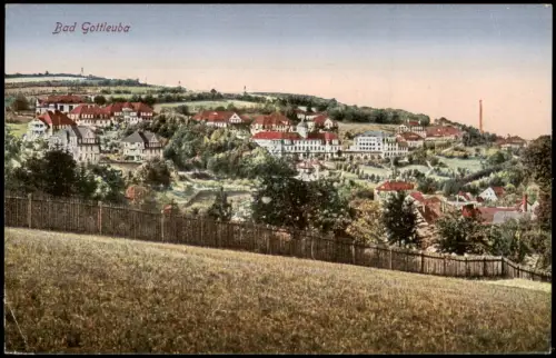 Ansichtskarte Bad Gottleuba-Berggießhübel Blick auf die Stadt 1920