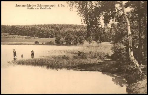 Ansichtskarte Schmannewitz-Dahlen Partie am Waldbad 1920