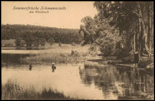 Ansichtskarte Schmannewitz-Dahlen Am Waldteich Badende 1920