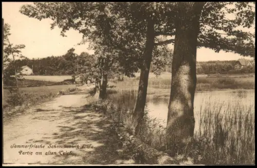 Ansichtskarte Schmannewitz-Dahlen Partie am alten Teich 1917