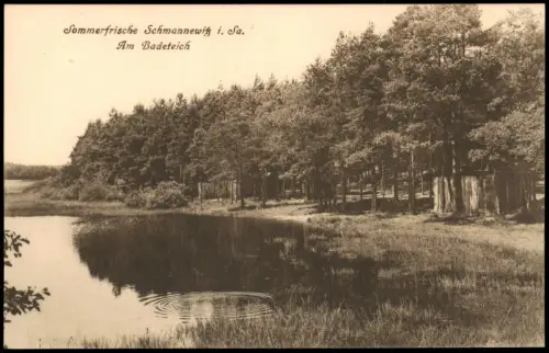 Ansichtskarte Schmannewitz-Dahlen Am Badeteich 1920