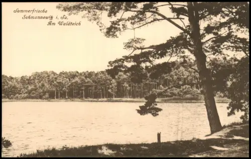 Ansichtskarte Schmannewitz-Dahlen Am Waldteich Sommerfrische 1920