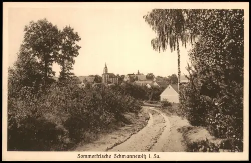 Ansichtskarte Schmannewitz-Dahlen Weg zur Stadt 1920