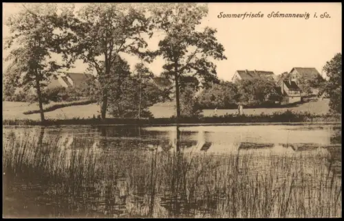 Ansichtskarte Schmannewitz-Dahlen partie an der Stadt 1920