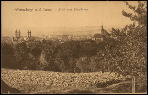 Ansichtskarte Naumburg (Saale) Blick vom Kirschberg 1922