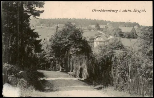 Ansichtskarte Oberbärenburg-Altenberg (Erzgebirge) Weg zur Stadt 1922