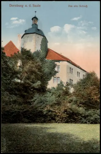 Ansichtskarte Dornburg-Dornburg-Camburg Das alte Schloß Bäume 1923